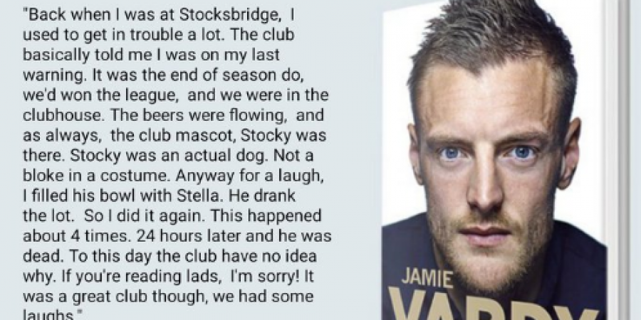 No you idiots, Jamie Vardy didn't actually kill a dog! article image