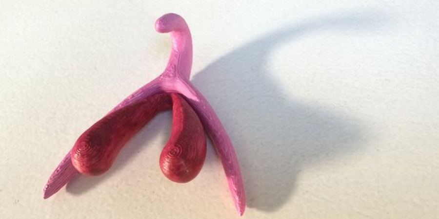 There's now a 3D-printed clitoris article image