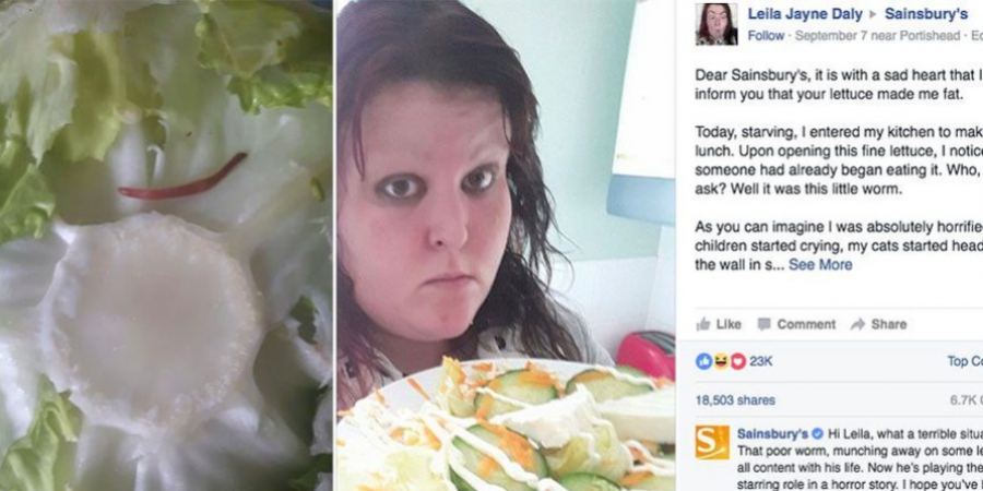 Sainsbury's deal with womans 'worm in lettuce' complaint in the best way EVER!!! article image
