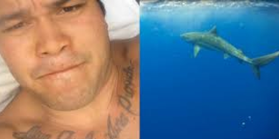 Dude films himself after getting attacked by a tiger shark article image