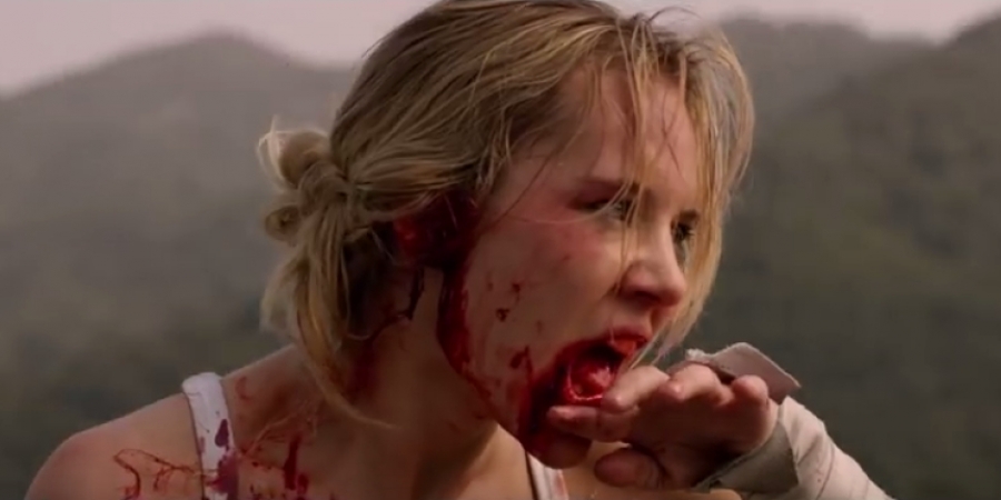 If you like gory catfights you''ll love the 'Lady Bloodfight' trailer article image