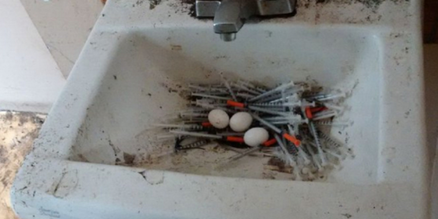 You the drug problem is your city is bad when pigeons make a nest out of needles article image
