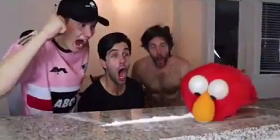 If Elmo did drugs... article image