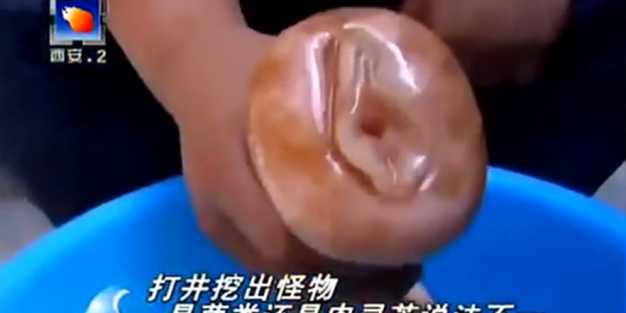 Chinese news station confuses rubber fanny for rare mushroom article image