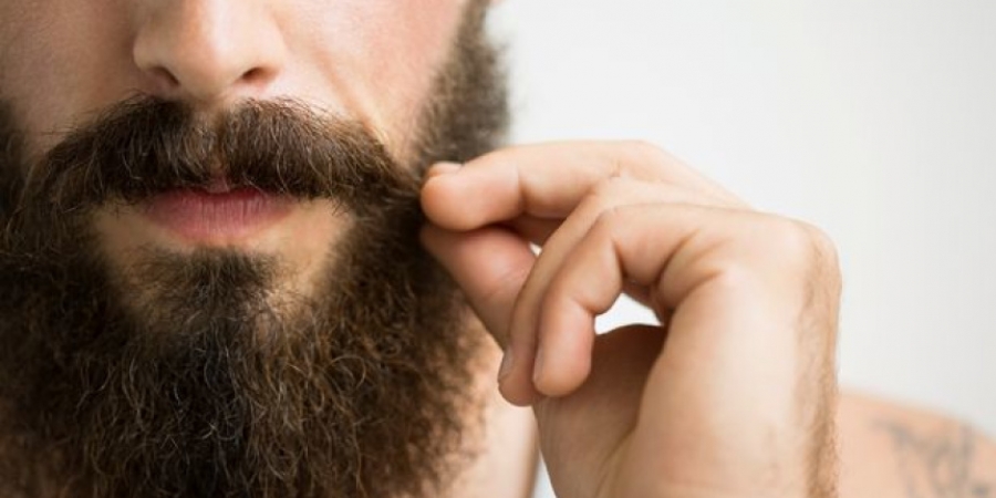 Blokes with beards are being offered a job that pays £30 an hour article image