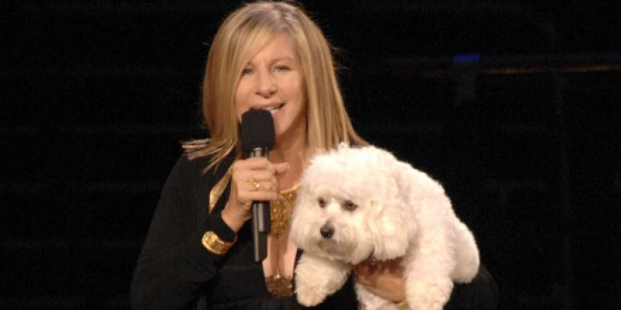 Barbra Streisand clones dogs article image