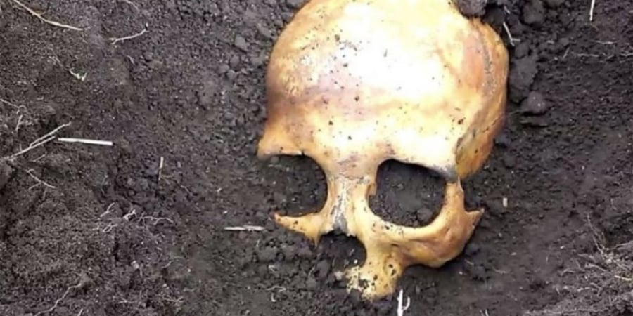 Dude finds out wife murdered previous husband after discovering skull in the garden article image