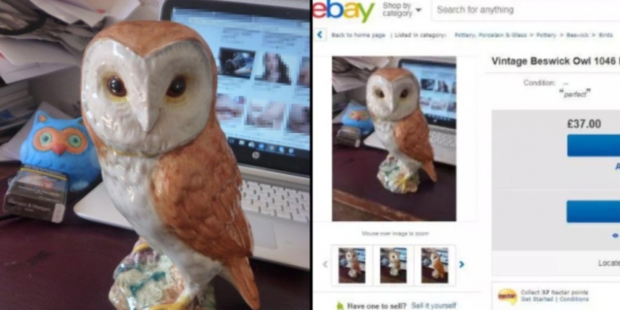 Ebay seller accidentally shows porn site in the background of his ad article image