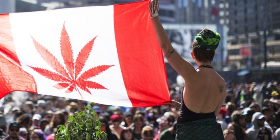 Canada has officially legalised recreational marijuana article image