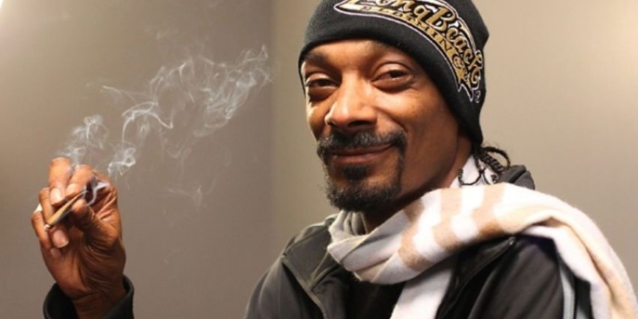 Snoop Dogg invests $10 million in British weed company along with Patrick Stewart article image