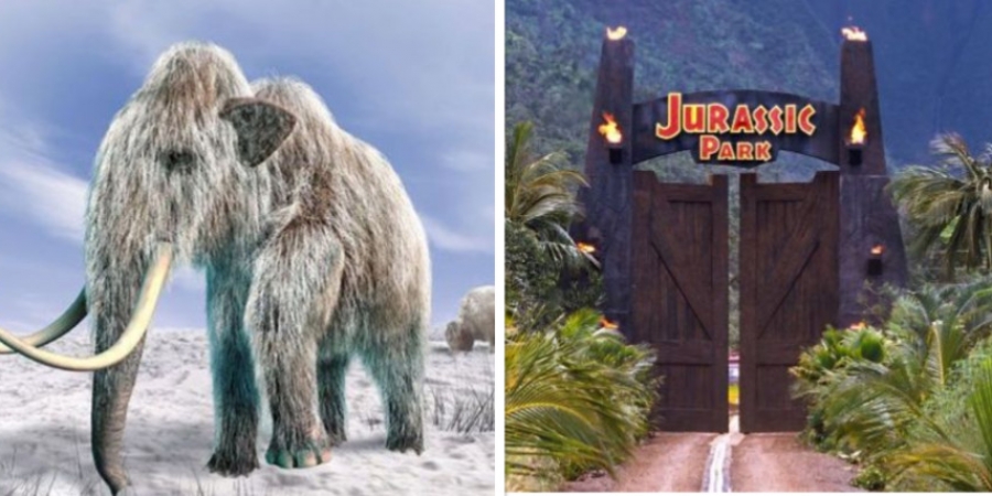 Russia is opening a 'Jurassic Park style' research lab to resurrect the woolly mammoth article image
