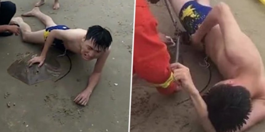 Dude gets stung on the dick by a stingray whilst swimming in the ocean article image