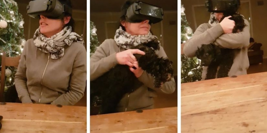 Mum grabs wrong end of the dog whilst using VR headset article image