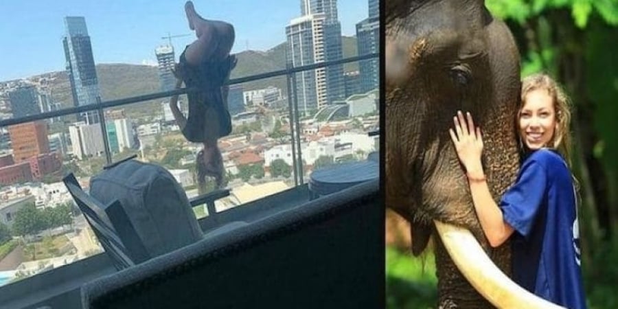 Dozy cow breaks 110 bones after falling off a balcony during extreme yoga pose article image