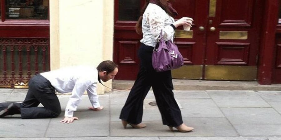 Woman walks dude on a lead to get round Quebec lockdown rules article image