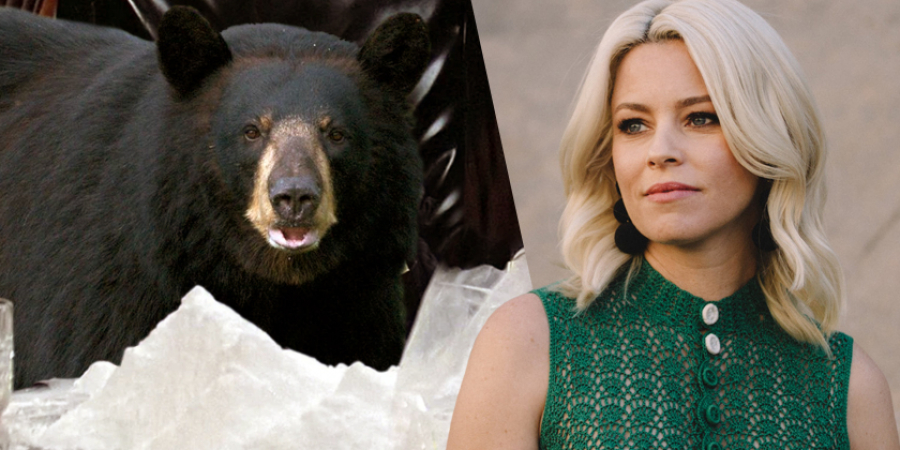 Elizabeth Banks to direct 'Cocaine Bear', the film inspired by true events article image