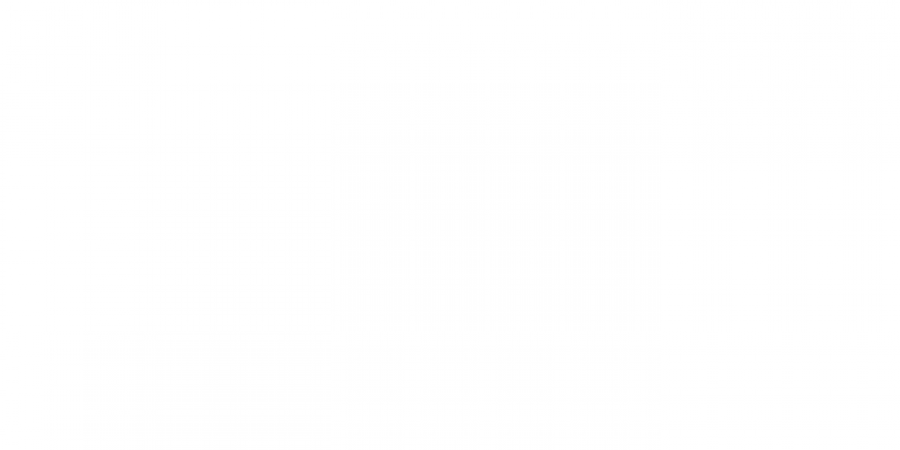 Model of the Week: Dallas Morgan article image